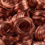 whatsapp image 2025 08 01 at 10.09.51 am